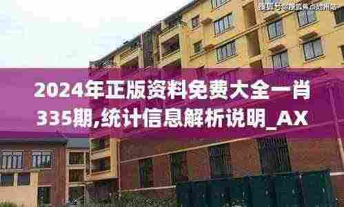 2024年正版资料免费大全一肖335期,统计信息解析说明_AXJ84.808旅行版