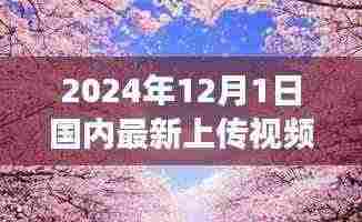 探秘草樱小店,美食之旅开启,小巷深处的独特风味视频草樱分享(独家报道)