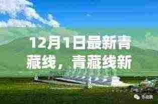 青藏线新旅程,雪域高原的暖心日常