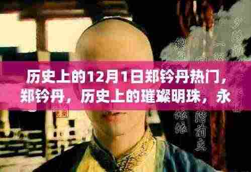 郑钤丹,历史上的璀璨明珠与永恒传奇