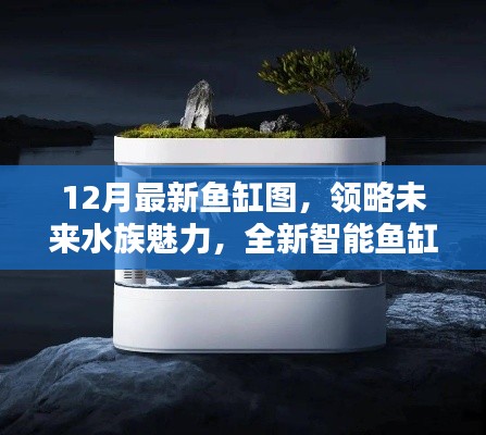 领略未来水族魅力,全新智能鱼缸图展现科技重塑生活品质的魅力