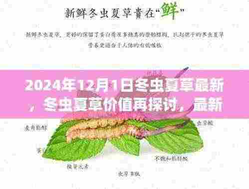 2024年视角下的冬虫夏草价值深度探讨,最新观点与分析