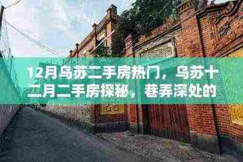 乌苏十二月二手房探秘,巷弄深处的隐藏宝藏,独特环境揭秘!