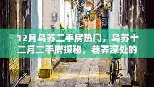 乌苏十二月二手房探秘,巷弄深处的隐藏宝藏,独特环境揭秘!