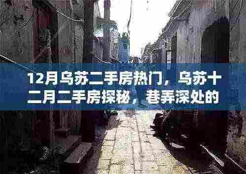 乌苏十二月二手房探秘,巷弄深处的隐藏宝藏,独特环境揭秘!