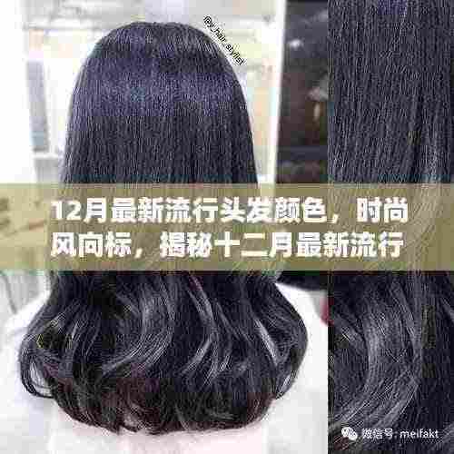 揭秘时尚风向标,十二月最新流行头发颜色趋势解析