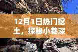土趣坊,探寻小巷深处的挖土乐园的独特魅力(12月1日热门)