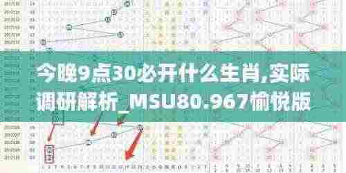 今晚9点30必开什么生肖,实际调研解析_MSU80.967愉悦版