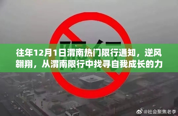 往年12月渭南限行通知,逆风翱翔,自我成长的力量之路