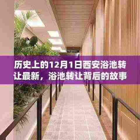 西安浴池转让背后的故事,追寻心灵宁静的浴池美景之旅