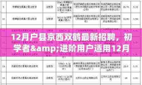 12月户县京西双鹤最新招聘,初学者与进阶用户应聘全攻略