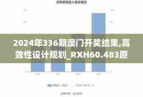 2024年336期澳门开奖结果,高效性设计规划_RXH60.483原创性版