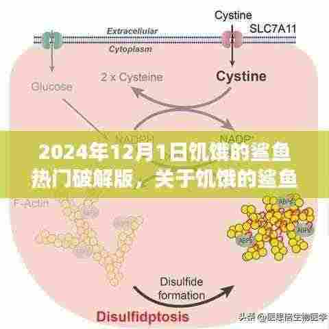 关于饥饿的鲨鱼游戏破解版的警示与提醒(2024年12月1日版)
