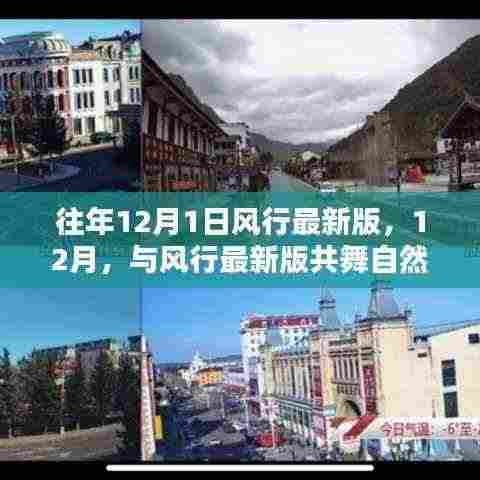 风行最新版下的心灵静谧之旅，与时光共舞