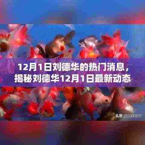 刘德华最新动态揭秘,隐藏小巷特色小店探访记