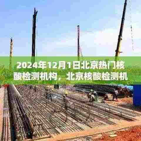 北京核酸检测机构在2024年12月1日的繁荣及其影响