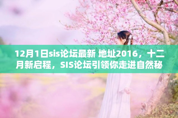SIS论坛最新地址带你走进自然秘境,十二月新启程寻找内心的桃花源(SIS论坛活动)