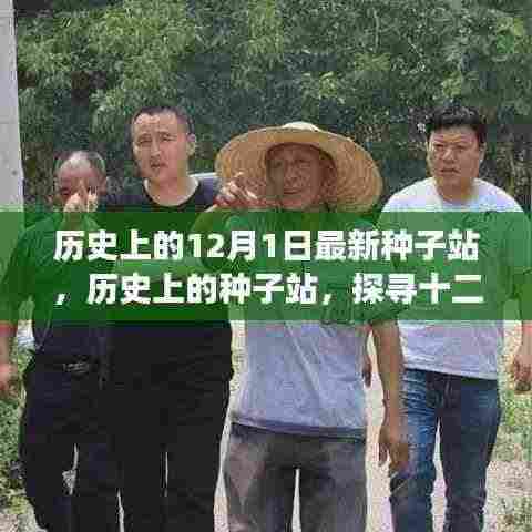 探寻种子站的历史起源、发展与影响,十二月一日最新种子站揭秘