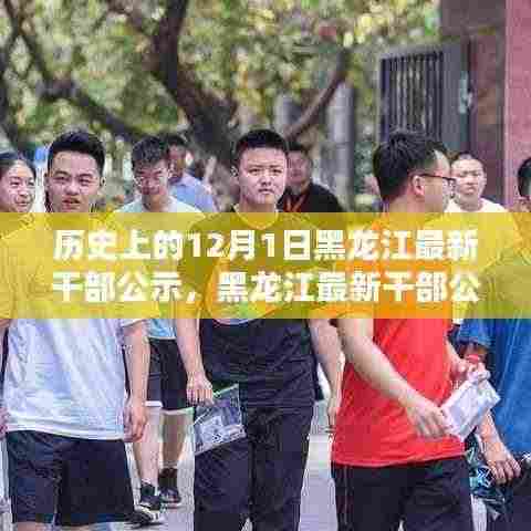 黑龙江最新干部公示指南,历史12月1日公示查询步骤详解(初学者与进阶用户适用)