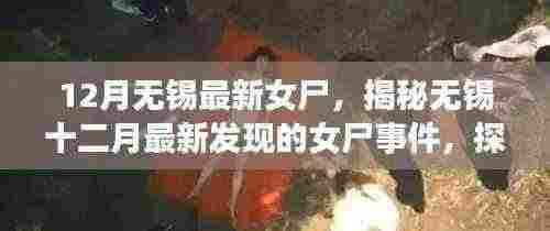 纲举目张 第6页