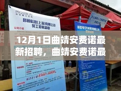 曲靖安费诺最新招聘启事,职场人的新机遇