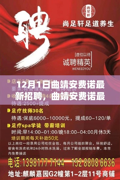 曲靖安费诺最新招聘启事,职场人的新机遇