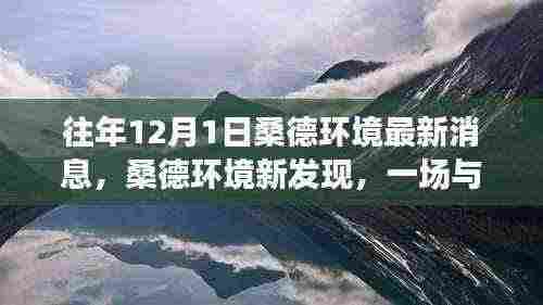 桑德环境新发现,与自然美景的邂逅,探寻内心宁静之旅