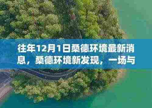 桑德环境新发现,与自然美景的邂逅,探寻内心宁静之旅