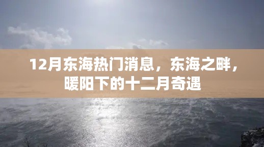 东海之畔暖阳下的十二月奇遇,最新热门消息全解析