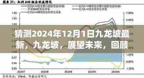 九龙坡区未来展望,回顾辉煌历程,探寻影响与地位,洞察未来变迁