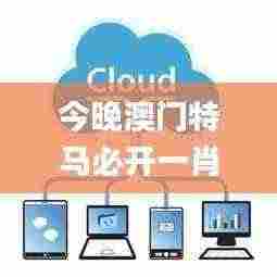 今晚澳门特马必开一肖337期,实地考察数据解析_SP64.926-1