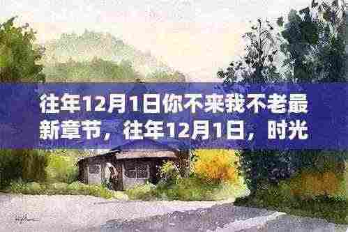 时光之约与不老情章,往年12月1日的约定与永恒记忆