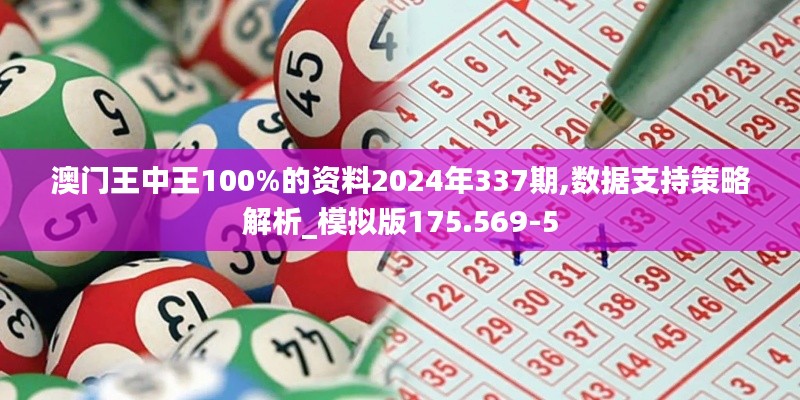 澳门王中王100%的资料2024年337期,数据支持策略解析_模拟版175.569-5