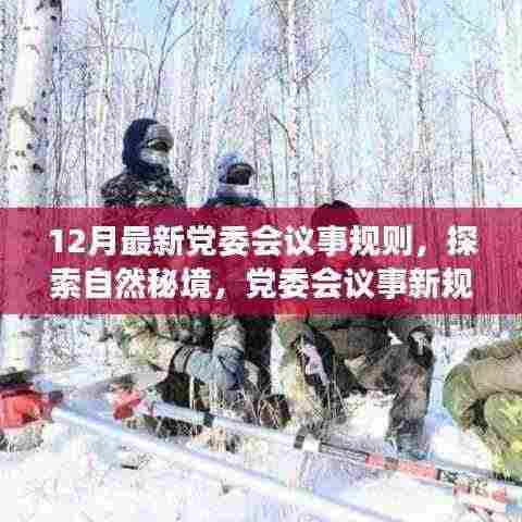 党委会议事新规则,探索自然秘境的心灵之旅