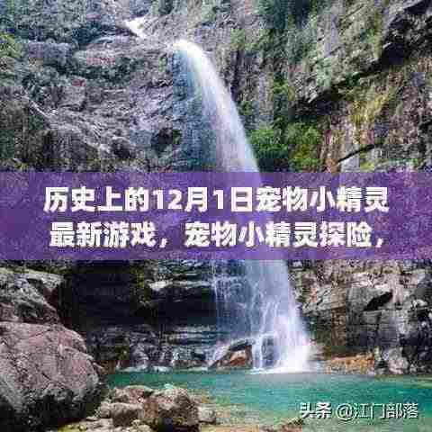 宠物小精灵探险,12月1日的自然美景之旅与内心的宁静寻找