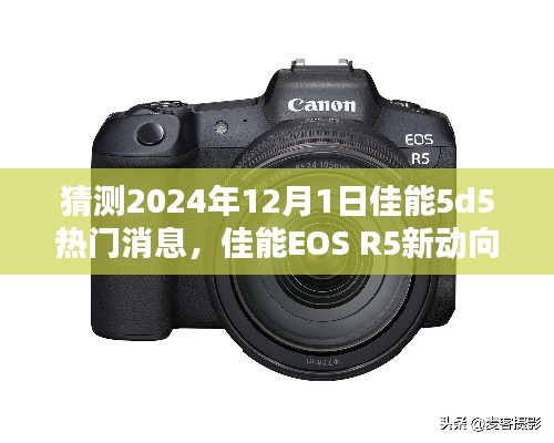 佳能EOS R5新动向与EOS 5D Mark V最新消息预测指南,初学者与进阶用户必备资讯