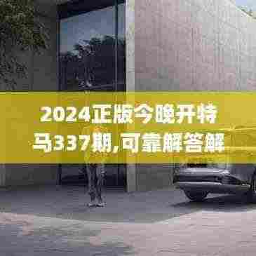 2024正版今晚开特马337期,可靠解答解释定义_豪华款94.162-8