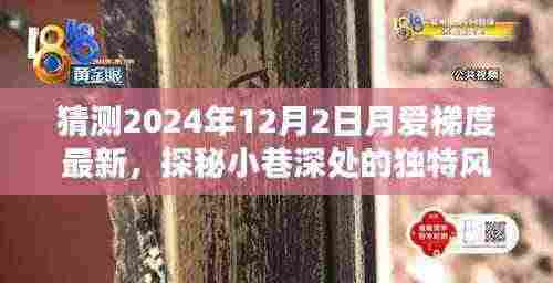 探秘小巷深处的独特风味，月爱梯度特色小店新探2024年12月最新动态