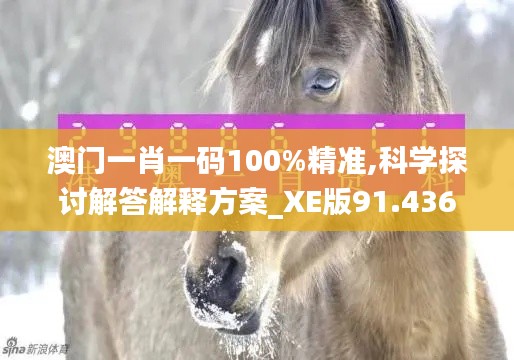 澳门一肖一码100%精准,科学探讨解答解释方案_XE版91.436