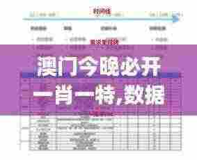 澳门今晚必开一肖一特,数据导向计划解析_精英款28.179