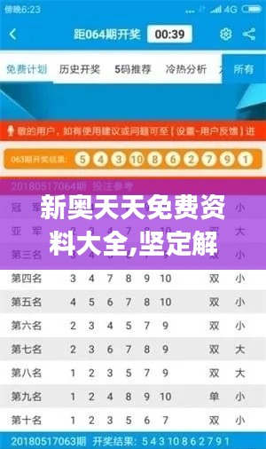 新奥天天免费资料大全,坚定解答解释落实_极速版19.032