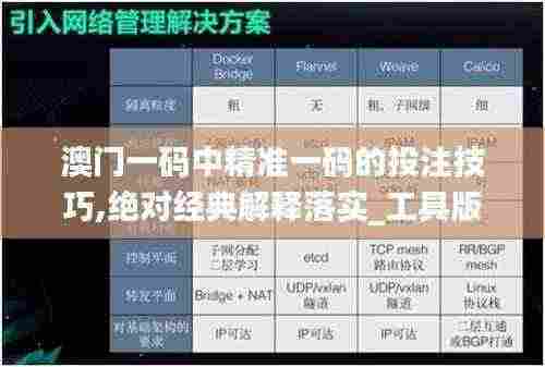 澳门一码中精准一码的投注技巧,绝对经典解释落实_工具版19.754