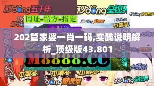 202管家婆一肖一码,实践说明解析_顶级版43.801
