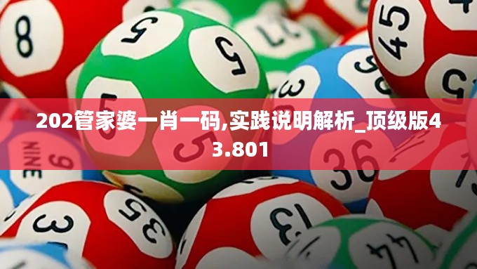 202管家婆一肖一码,实践说明解析_顶级版43.801