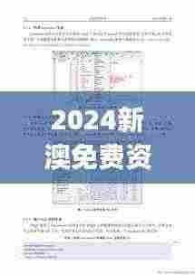 2024新澳免费资料大全penbao136,精细设计计划_高级款27.845