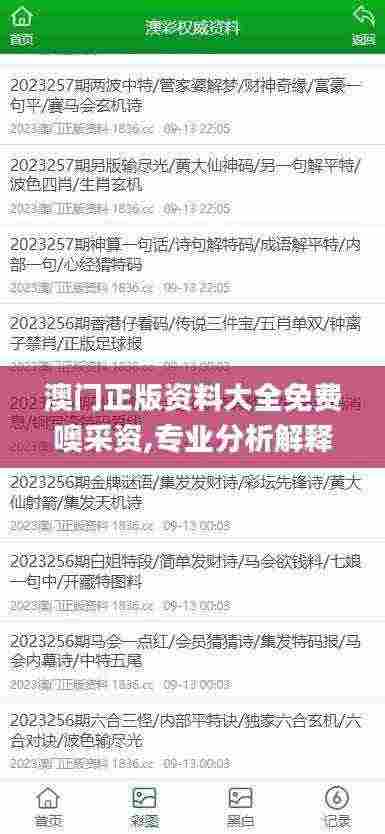 澳门正版资料大全免费噢采资,专业分析解释定义_The41.709
