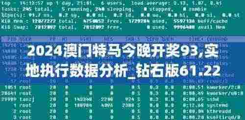 2024澳门特马今晚开奖93,实地执行数据分析_钻石版61.224