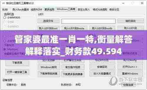 管家婆最准一肖一特,衡量解答解释落实_财务款49.594