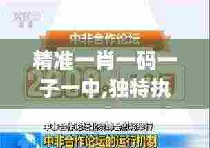 精准一肖一码一子一中,独特执行解答解释_实用版30.832