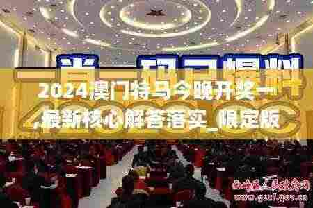 2024澳门特马今晚开奖一,最新核心解答落实_限定版82.60